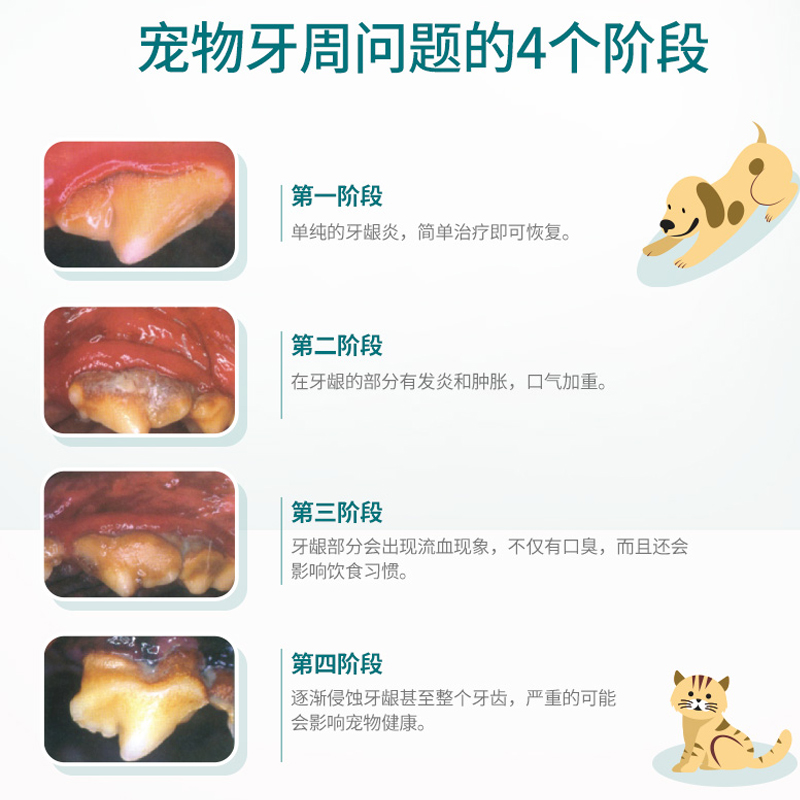 法国维克牙膏宠物猫咪狗狗牙齿清洁去牙结石除口臭可食用刷牙套装 - 图1