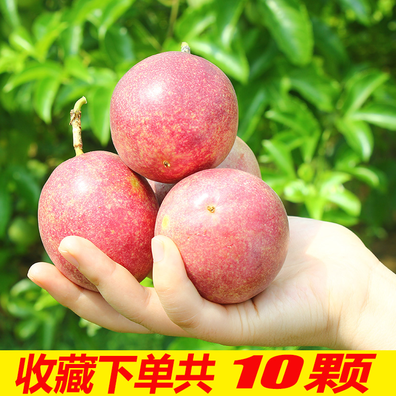 广西特产大果30图片_2