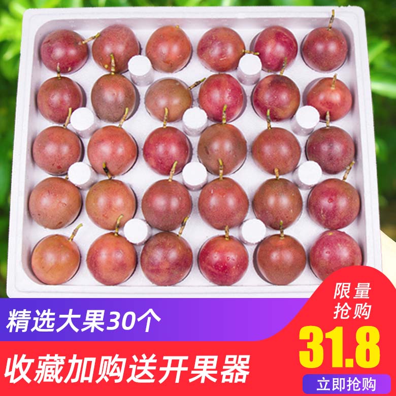 广西特产大果30图片_1