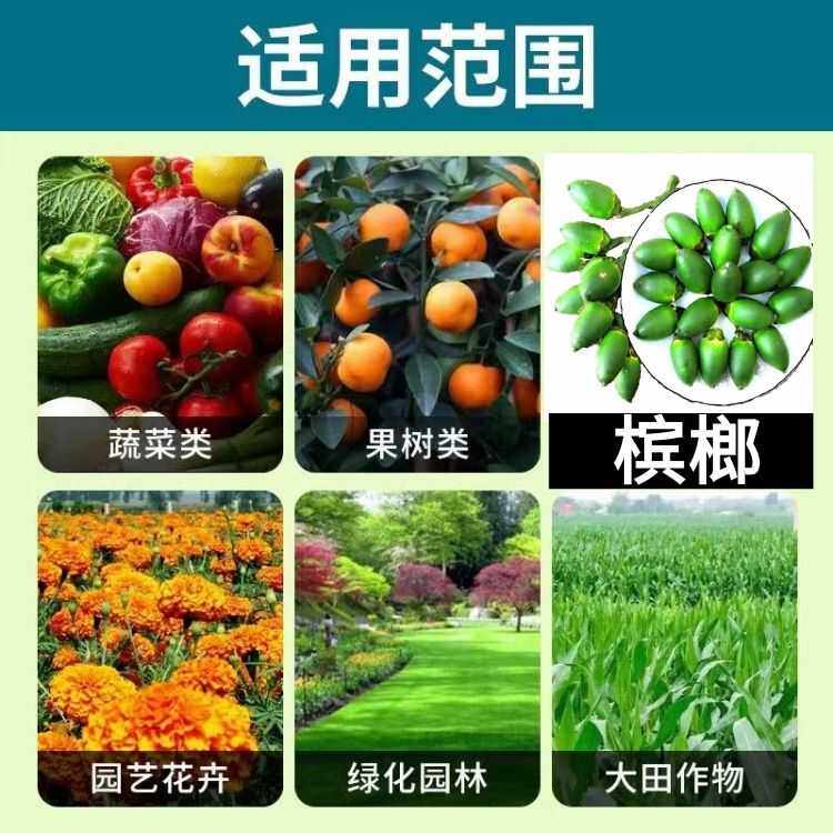 正品颗粒硼槟榔专用缓释肥果树花生土豆作物通用底肥保花保果增产,淘宝优惠券,粉丝福利购,淘宝优惠卷