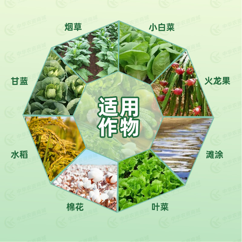 四聚乙醛蜗牛药菜地杀蜗牛药鼻涕虫专用四聚乙酫颗粒灭蜗牛杀虫剂 - 图2