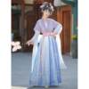 Original Tang Dynasty Hanfu female adult made in Tang Dynasty