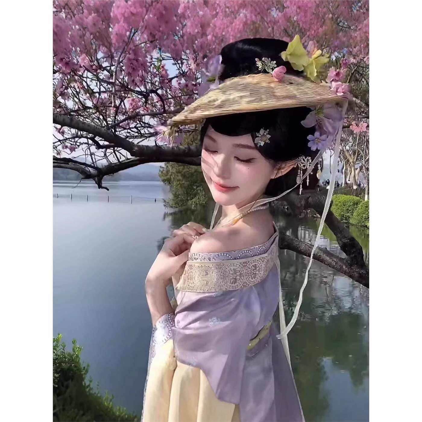Sui Dynasty Hanfu women's half-sleeved skirt covering the knees