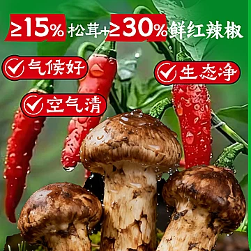 骄启松茸川椒酱鲜菌菇辣椒酱150g[9元优惠券]-寻折猪