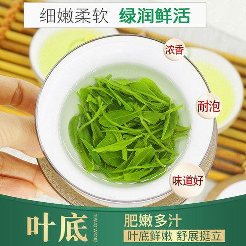 250g起高山绿茶浓香型2026新茶叶正宗春茶散装云雾炒青绿茶自己喝 - 图1