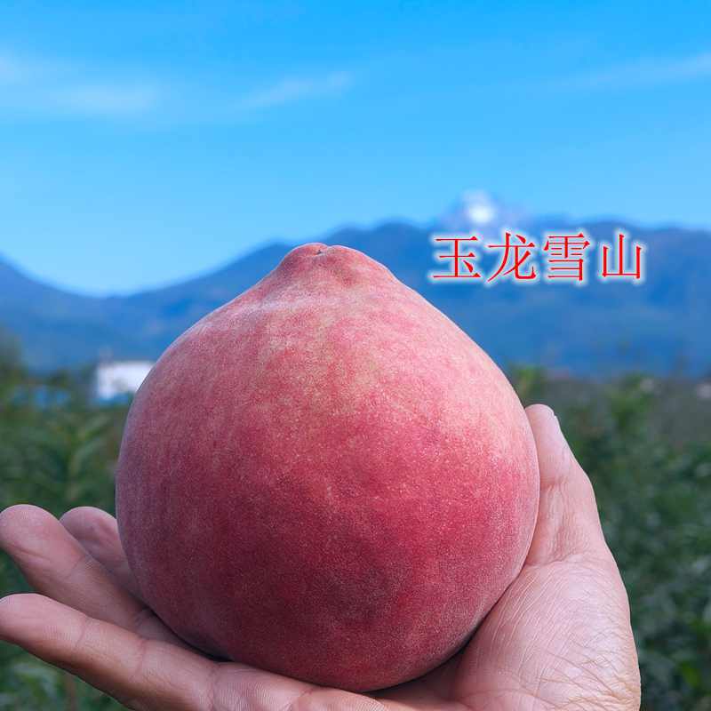图4