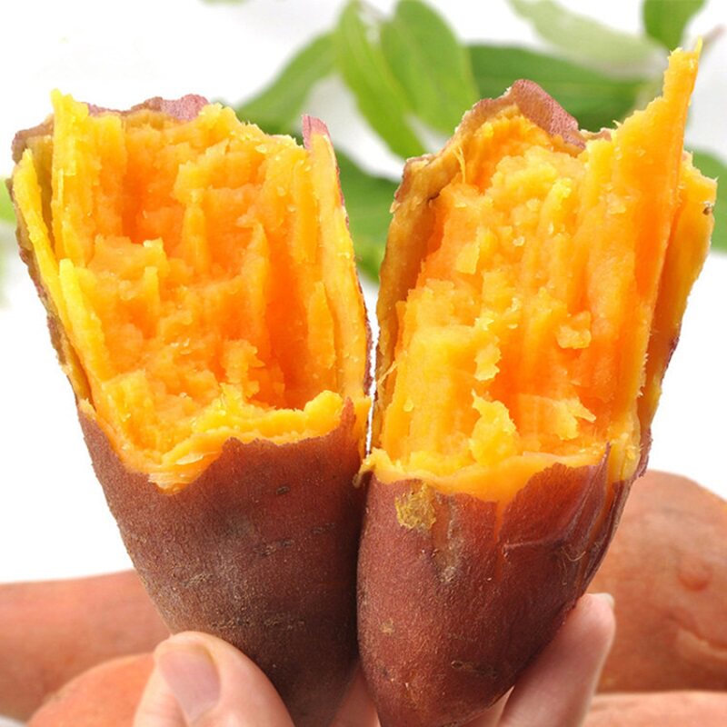 新鲜农家现挖红心蜜薯全国10斤番薯 叼幺妹番薯