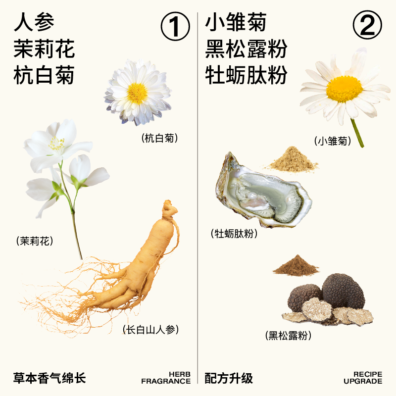 一整根人参水480ML*6瓶0脂低脂天然植物饮料长白山人参饮品熬夜 - 图2