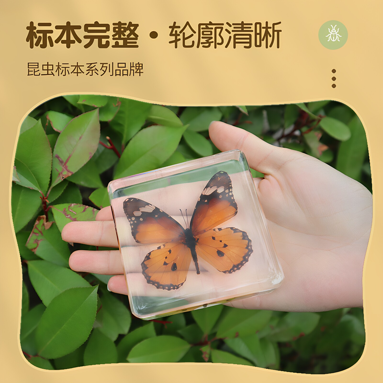 全鹿真实昆虫标本制作工具甲虫动物蝎子原虫琥珀千千谷儿童玩具