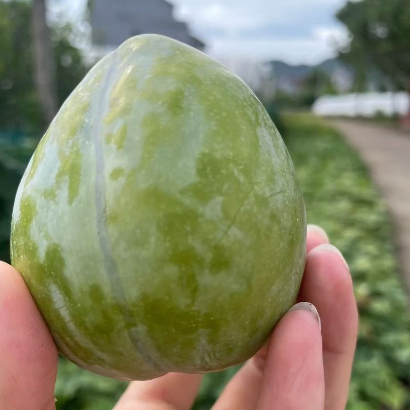 特大奈李果苗嫁接浦江桃形李树苗桃型李脆甜油奈李子苗南北方种植,淘宝优惠券,粉丝福利购,淘宝优惠卷