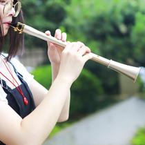 abs resin saxophone simple and easy to learn clarinet portable boasting instrument pocket sax mini sax