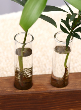 玻璃水培试管插花器复古透明桌面小花瓶木艺水养绿萝植物花盆摆件