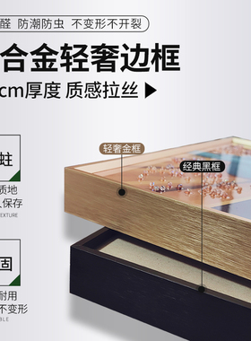 长恨歌国画大师戴敦邦唐诗宋词系列艺术国风版画玄关挂画限量版画