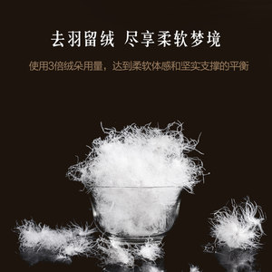 MINE/寐90全鸭绒羽绒枕天丝枕芯枕头舒睡枕头 无痕羽绒复合枕