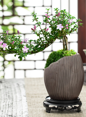 仿古复古室内室外创意盆景异形花盆小号特大号紫砂陶瓷绿植物台桌