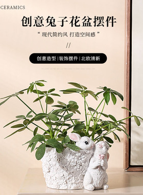 动物卡通户外花园庭院装饰多肉花盆园林园艺兔子摆件创意阳台布置