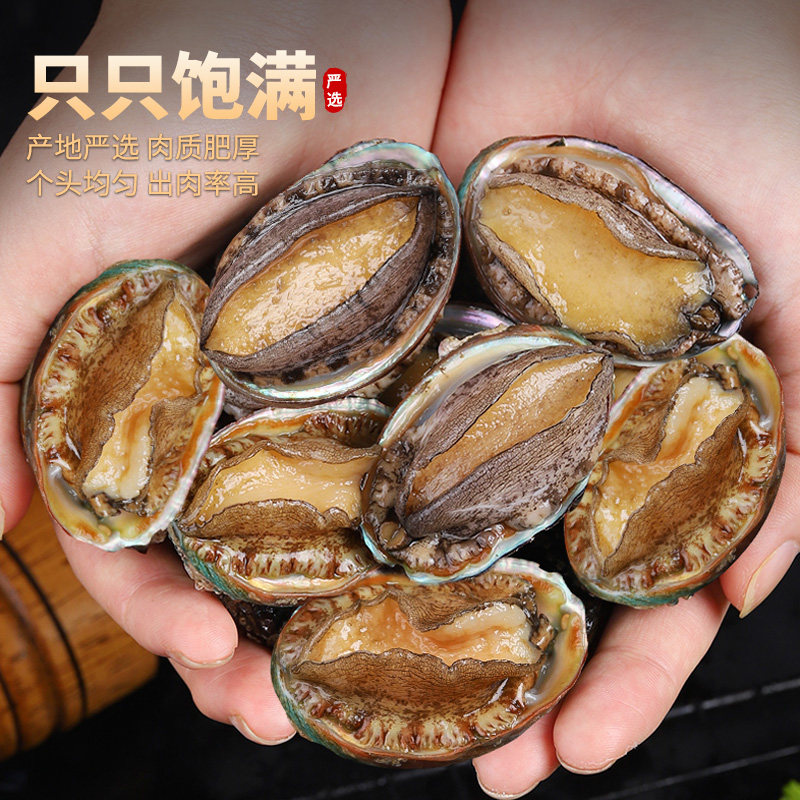 海洋演义速冻鲍鱼185g/*4包（到手32只）,淘宝优惠券,粉丝福利购,淘宝优惠卷