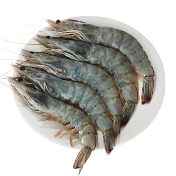 【海洋演义】盐冻新鲜大虾1650g[40元优惠券]-寻折猪