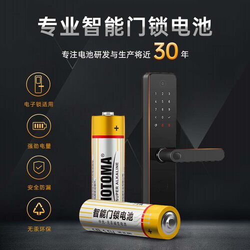 【智能门锁电池】中光MOTOMA 5号专业密码锁碱性指纹锁大容量耐用 - 图2