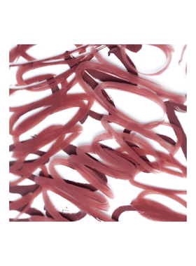 ANFISA Skin ?N-DEFINE CERAMIDE LINER 唇线笔  淡紫色 秋冬新R