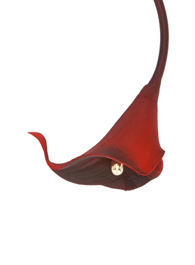 Cult Gaia CALLA 短项链 revolve小众新款