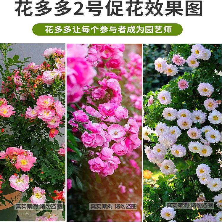 盆栽绿植花卉通用肥料  |  花多多专用肥料通用水溶肥,淘宝优惠券,粉丝福利购,淘宝优惠卷
