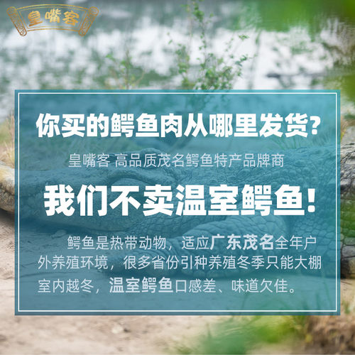 500克鳄鱼肉干 新鲜鳄鱼干煲汤非即食食材养殖暹罗鳄鱼干茂名干货 - 图1