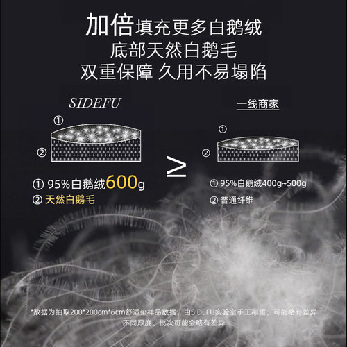 95鹅绒床垫软垫五星级酒店羽绒舒适垫冬季加厚保暖床褥垫垫被褥子 - 图2
