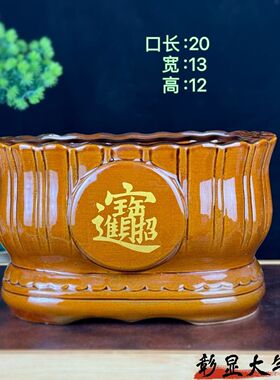 禄根土培花盆绿植盆景老桩兰发财树文竹多肉家用简约办公桌面
