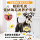 ໝານ້ອຍ Schnauzer ແຊ່ແຂງ-ຕາກແຫ້ງ ຜົມງາມຫົກປ່ຽງ