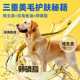 Labrador ຫມາຂະຫນາດກາງແລະຂະຫນາດໃຫຍ່ພິເສດການກໍ່ສ້າງກະດູກຊຸດໃຫຍ່