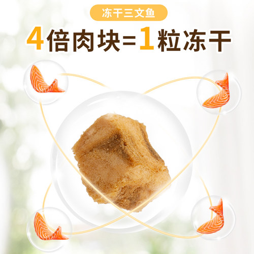 冻干猫粮10斤装成猫幼猫5kg增肥发腮20营养全阶段大包天然通用型 - 图0