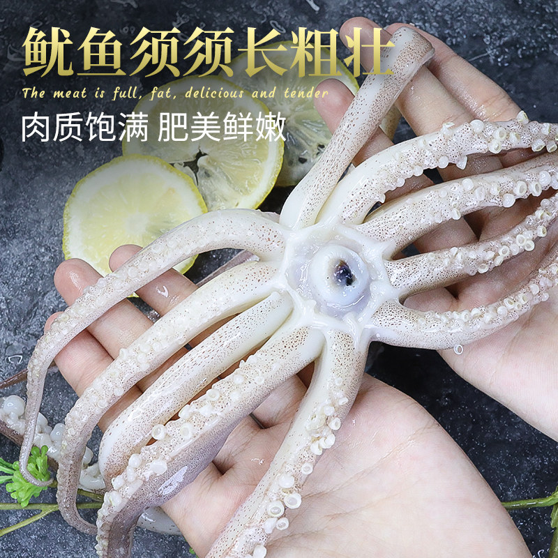 新鲜鱿鱼头鲜活冷冻新鲜鱿鱼须章鱼足尤鱼须八爪鱼腿烧烤铁板商用