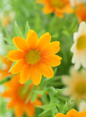 原创田园水草雏菊仿真花假花墙饰