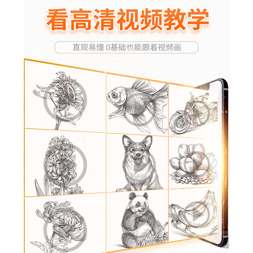 兴趣学速写上下册 朱丹植物花卉动物铅笔素描临摹零基础入门的诀窍自学手绘画画册静物训练儿童美术工具书初学者教程教材书籍 - 图2