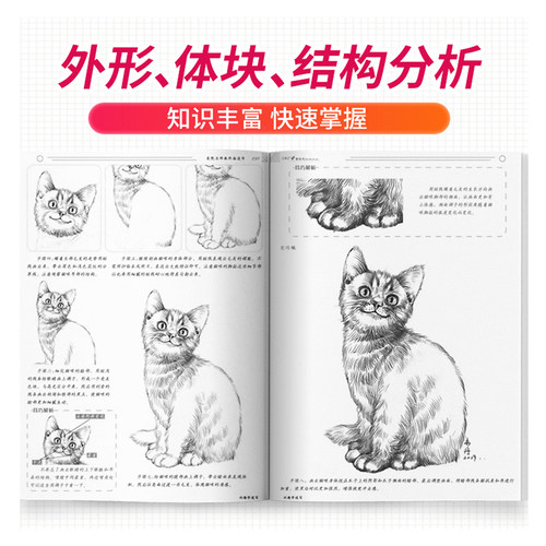 兴趣学速写上下册 朱丹植物花卉动物铅笔素描临摹零基础入门的诀窍自学手绘画画册静物训练儿童美术工具书初学者教程教材书籍 - 图1