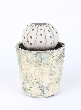 元气造物～潮流艺术 黒王丸 小 陶瓷仿生多肉(泷上玄野)N24B348