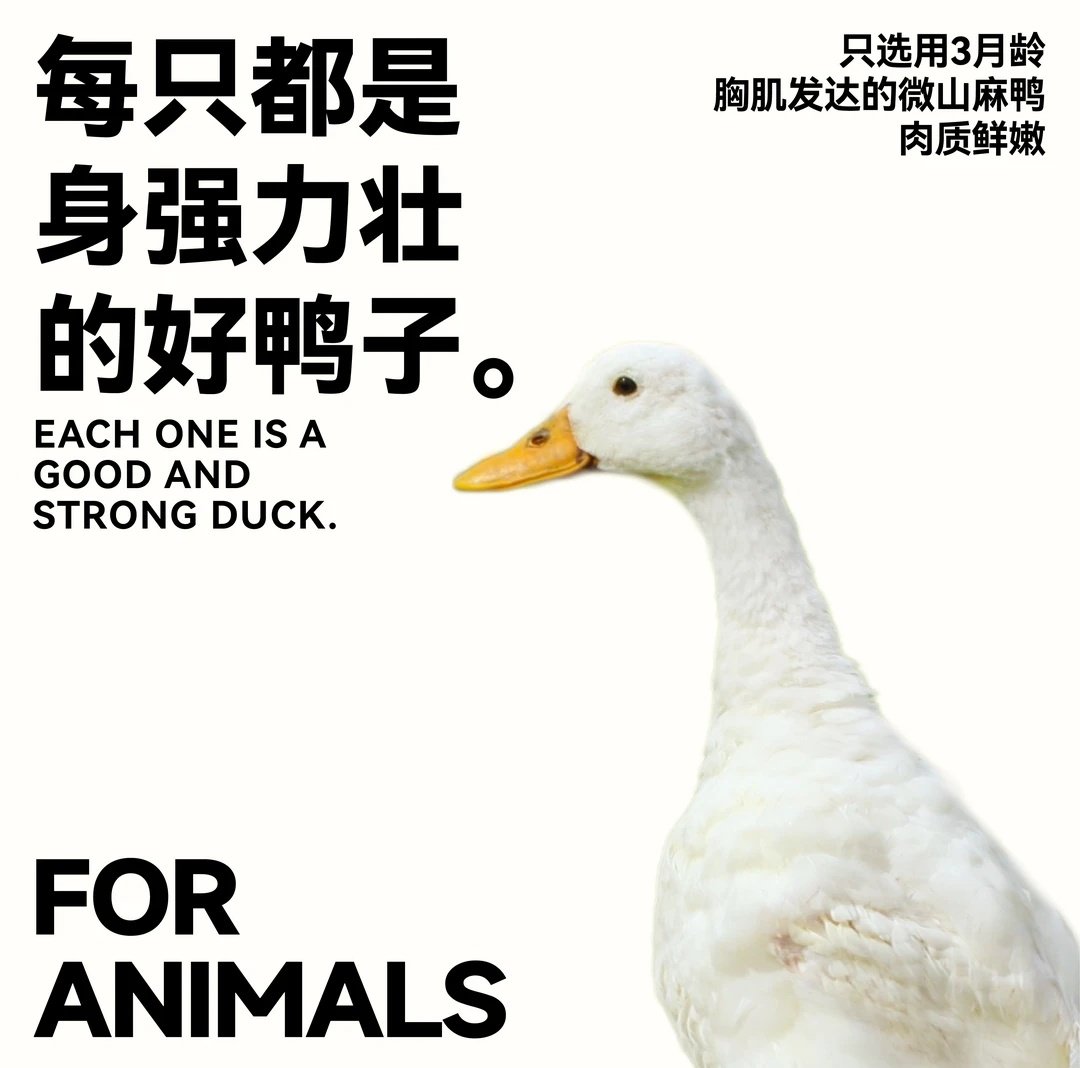 ForAnimals S+锁鲜鸭小胸冻干猫咪零食去泪痕原切鸭胸肉成猫幼猫,淘宝优惠券,粉丝福利购,淘宝优惠卷