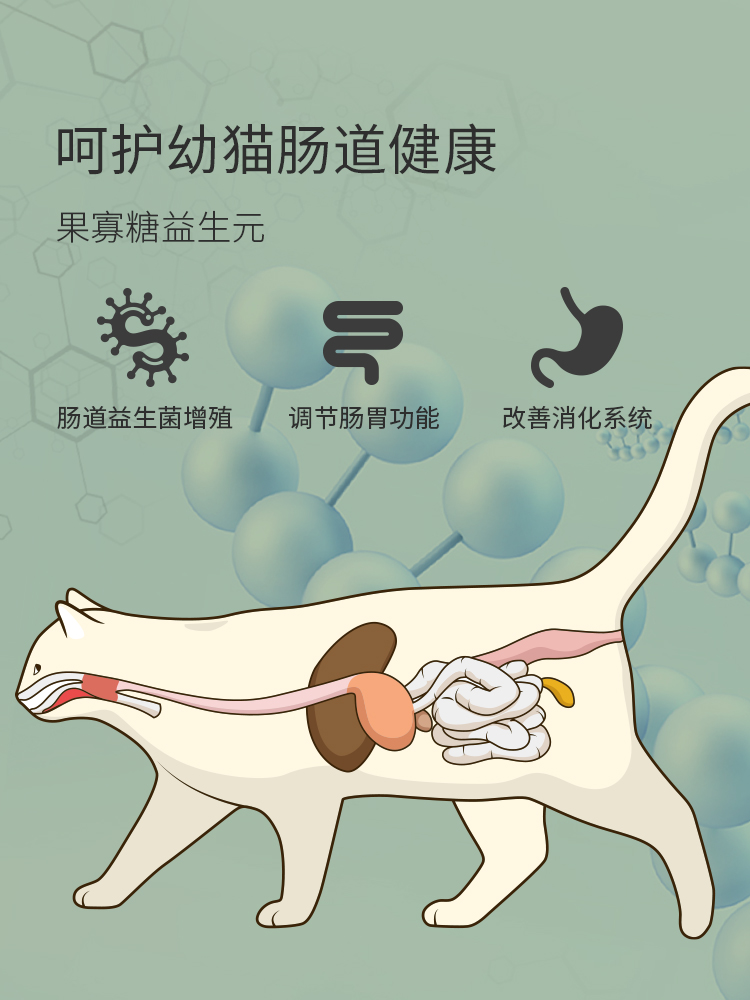 猫爸爸的厨房天然增肥发腮营养幼猫猫粮怀孕孕期哺乳母猫专用3斤优惠券