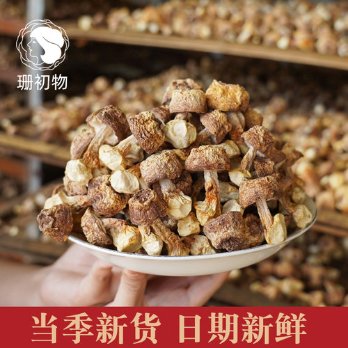 珊初物无硫姬松茸干货旗舰店云南不特级野生特产菌菇煲汤500g包邮 - 图1