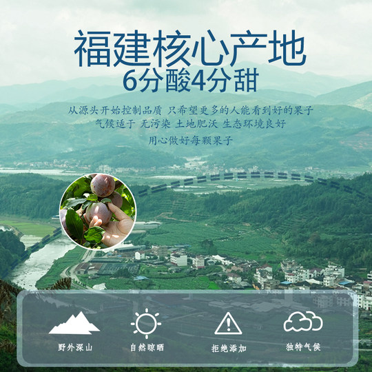 Home-made dried plum ingredients are clean and safe to eat