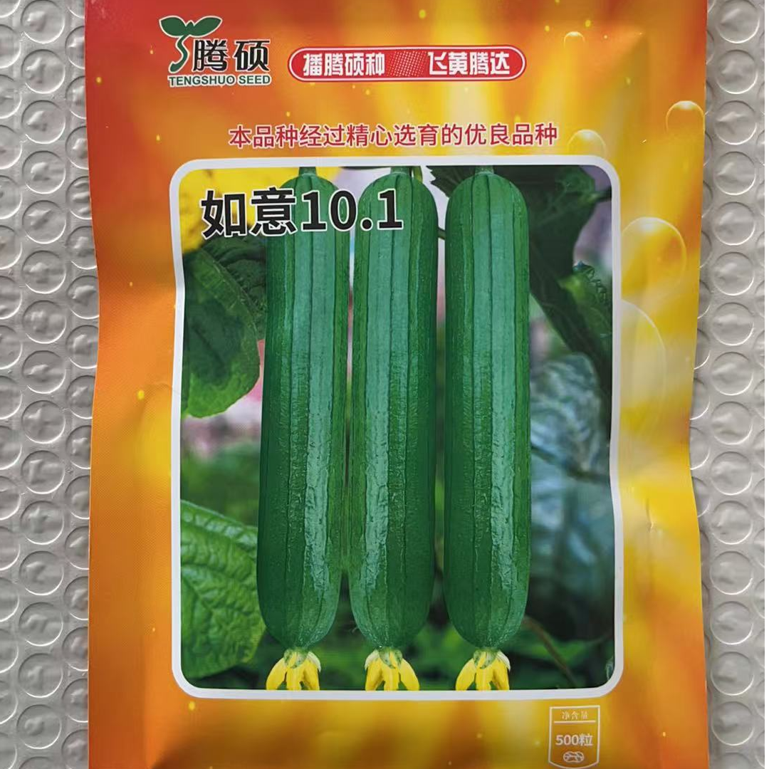 如意101丝瓜种子碧美人油皮丝瓜种子香丝瓜种子丝瓜种子四季高产,淘宝优惠券,粉丝福利购,淘宝优惠卷