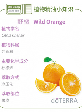 多特瑞美国舒缓压力清新香薰精油
