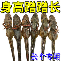 (Küchens same sum) 8-65-year-old adolescent adult children junior high school students male and female GM long height not inferiority