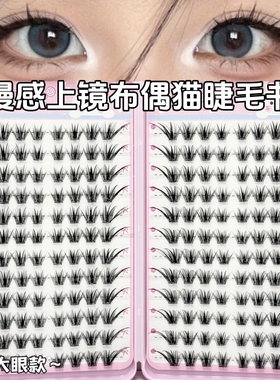 猫系+狐系二合一24排免胶布偶猫上睫毛新款自然嫁接感轻狐系睫毛