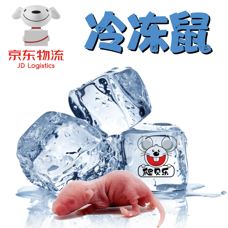 【京东冷链】冷冻小白乳鼠红粉皮喂蛇苗角蛙粮爬虫饲料鼠独立包装