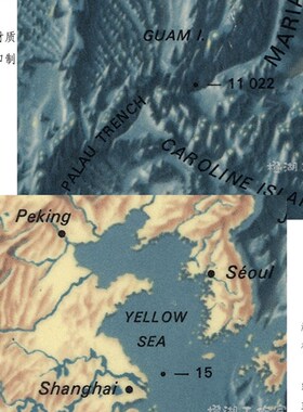 速发世界洋大海高地貌地形图 底清尺寸流小布画芯客厅装饰画