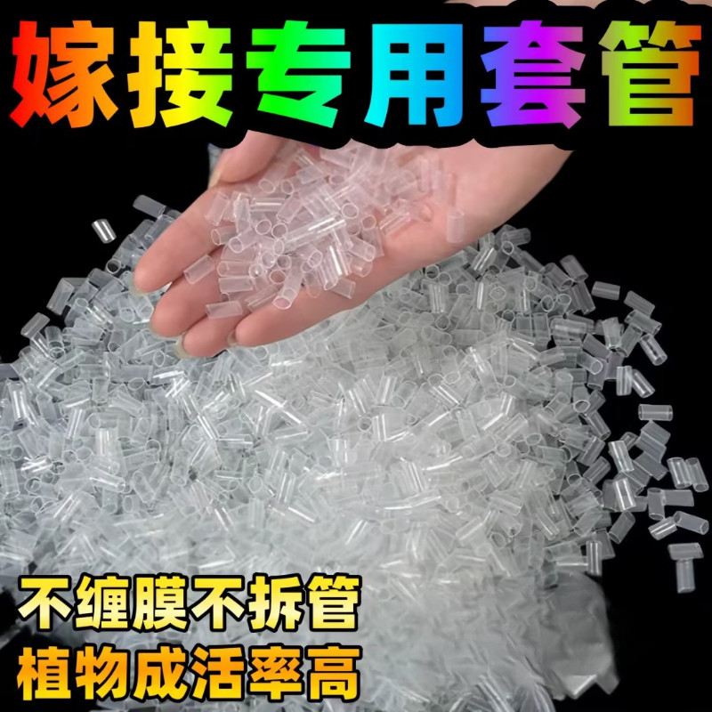 植物小苗枝条切口连接管果树专用嫁接套管花卉植树工具绿植小帮手,淘宝优惠券,粉丝福利购,淘宝优惠卷