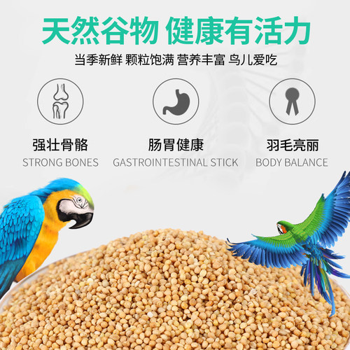 虎皮鹦鹉饲料玄凤牡丹小太y混合鸟食粮食带壳黄谷子食物鸟粮一斤 - 图2
