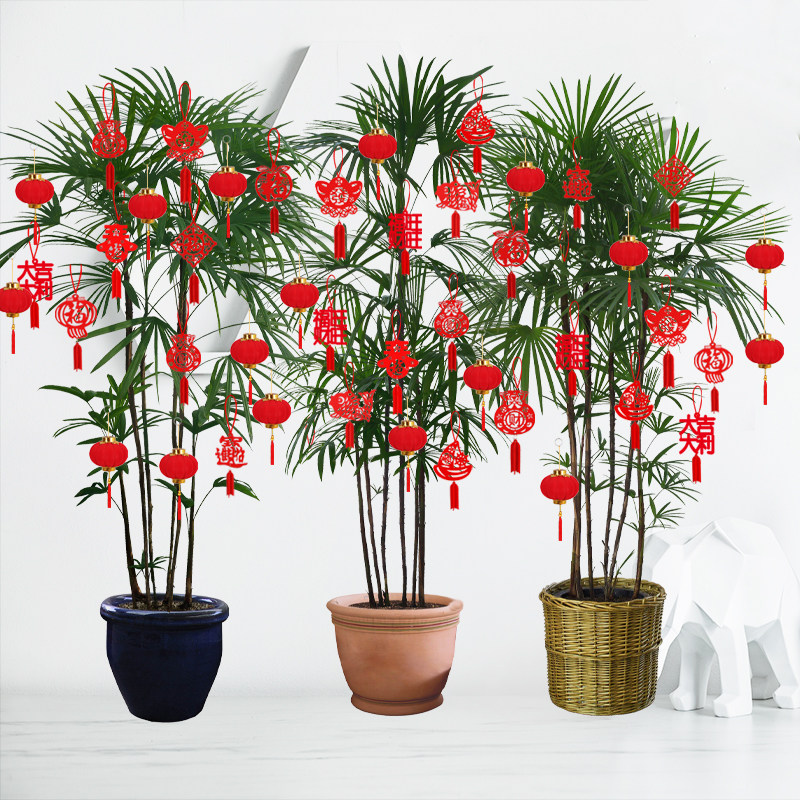 盆景小红灯笼挂饰室内装饰植物福字小挂件新年场景布置乔迁入新宅,淘宝优惠券,粉丝福利购,淘宝优惠卷
